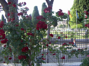 PICT1349 300x225 - Rome Rose Garden