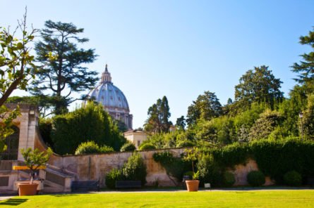 Vatican Gardens 445x296 - 20 fun facts about Italy