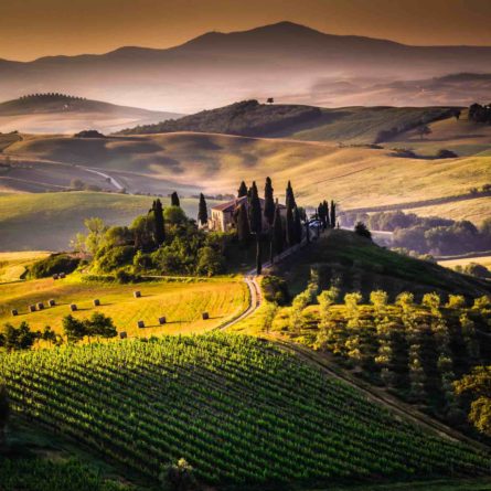 Rome to Florence – Chianti