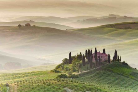 Tuscany 445x297 - Medieval Day Trips from Rome