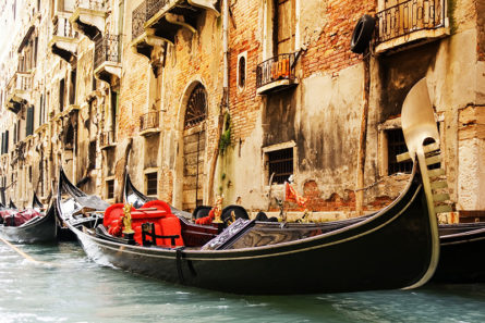 Venice Family Orientation Tour