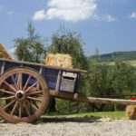 antique wagon on a farm in the Tuscan countryside