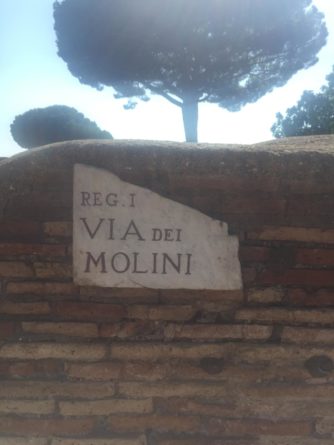 IMG 4765 334x445 - Ostia Antica: The perfect day tour