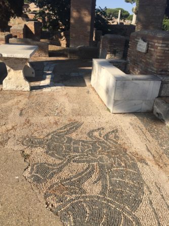 IMG 4995 334x445 - Ostia Antica: The perfect day tour