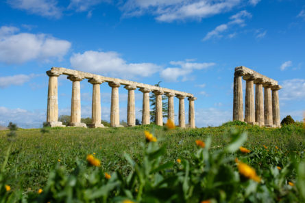 Temple of Hera in Metaponto da shutterstock 445x297 - Don't be Shy, Visit Calabria & Basilicata: Get-to-Know Two of Italy's Least Known Regions. Part 2. Basilicata